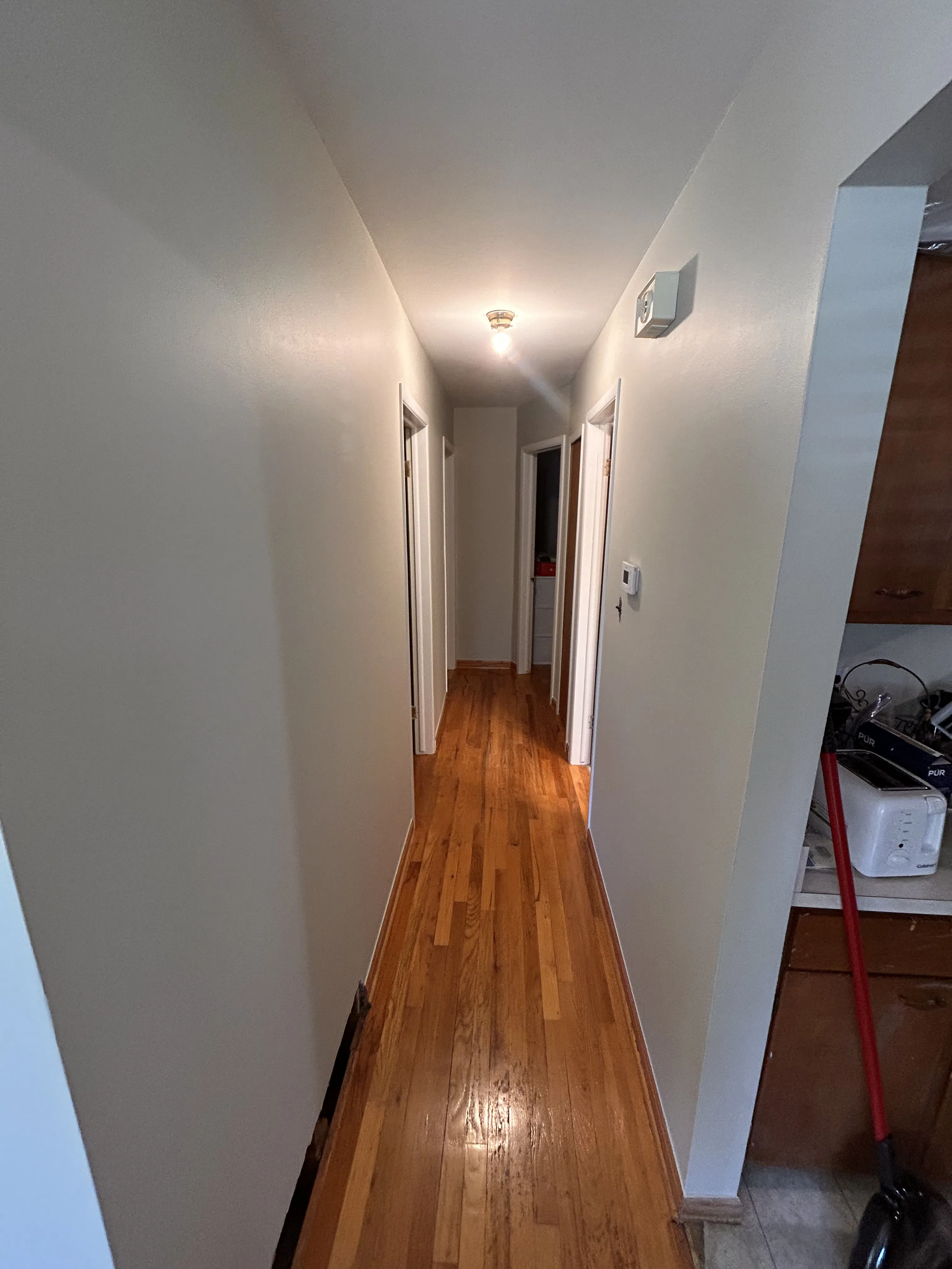 Project Living Room and Hallway Interior Painting Done Right in Romulus image