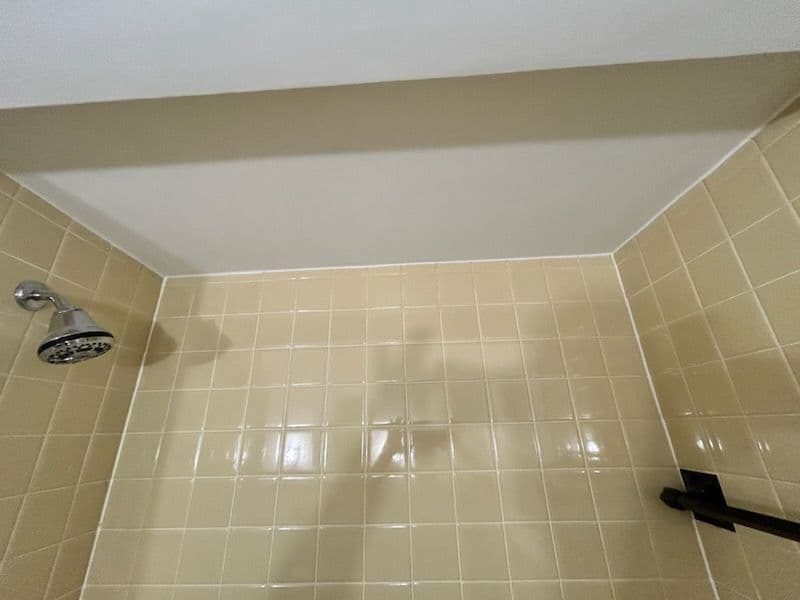 Project Bathroom Ceiling Repair in Grosse Pointe Woods image