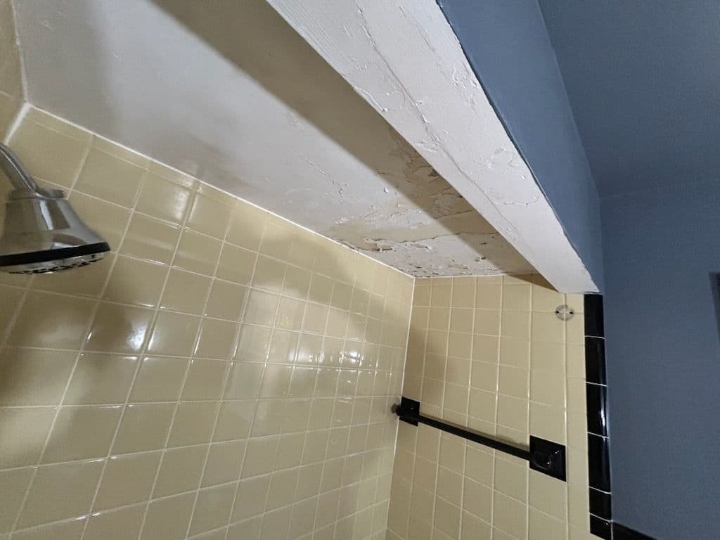 Gallery photos for Bathroom Ceiling Repair in Grosse Pointe Woods: Image #3