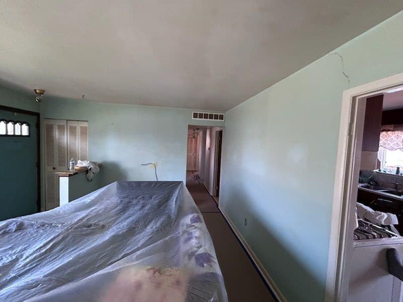 Project Living Room Renovation in St. Clair Shores image