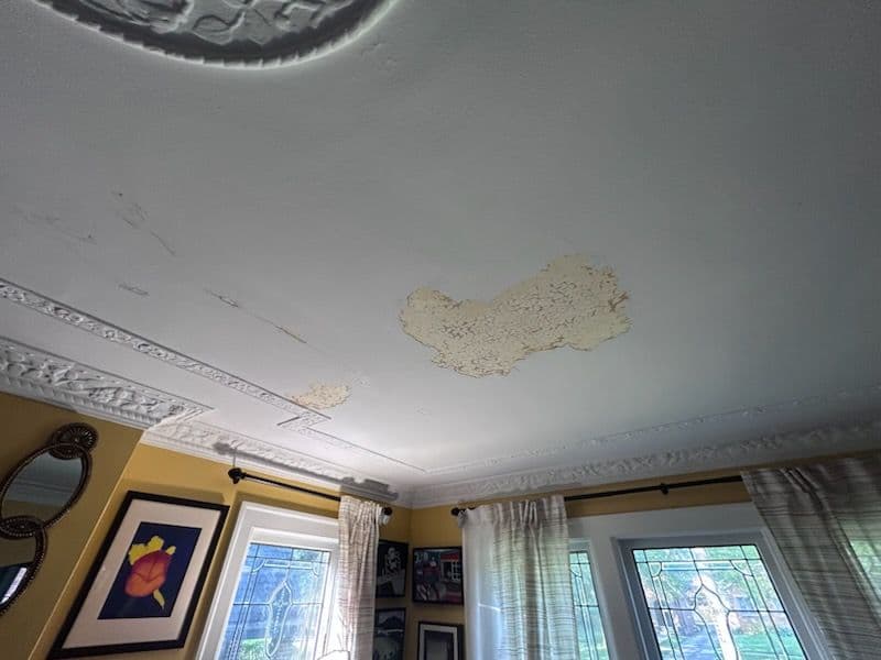 Revitalized Ceiling in Grosse Pointe Park image