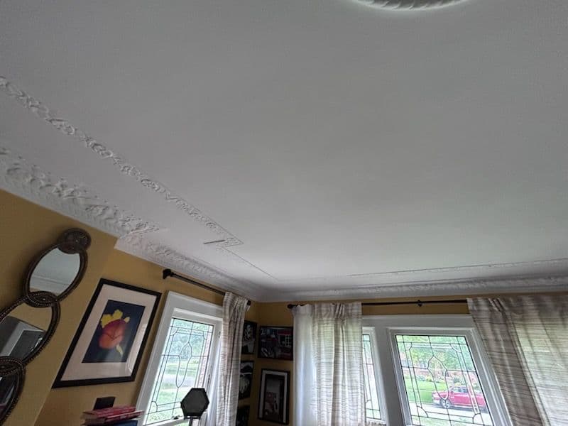 Gallery photos for Revitalized Ceiling in Grosse Pointe Park: Image #1