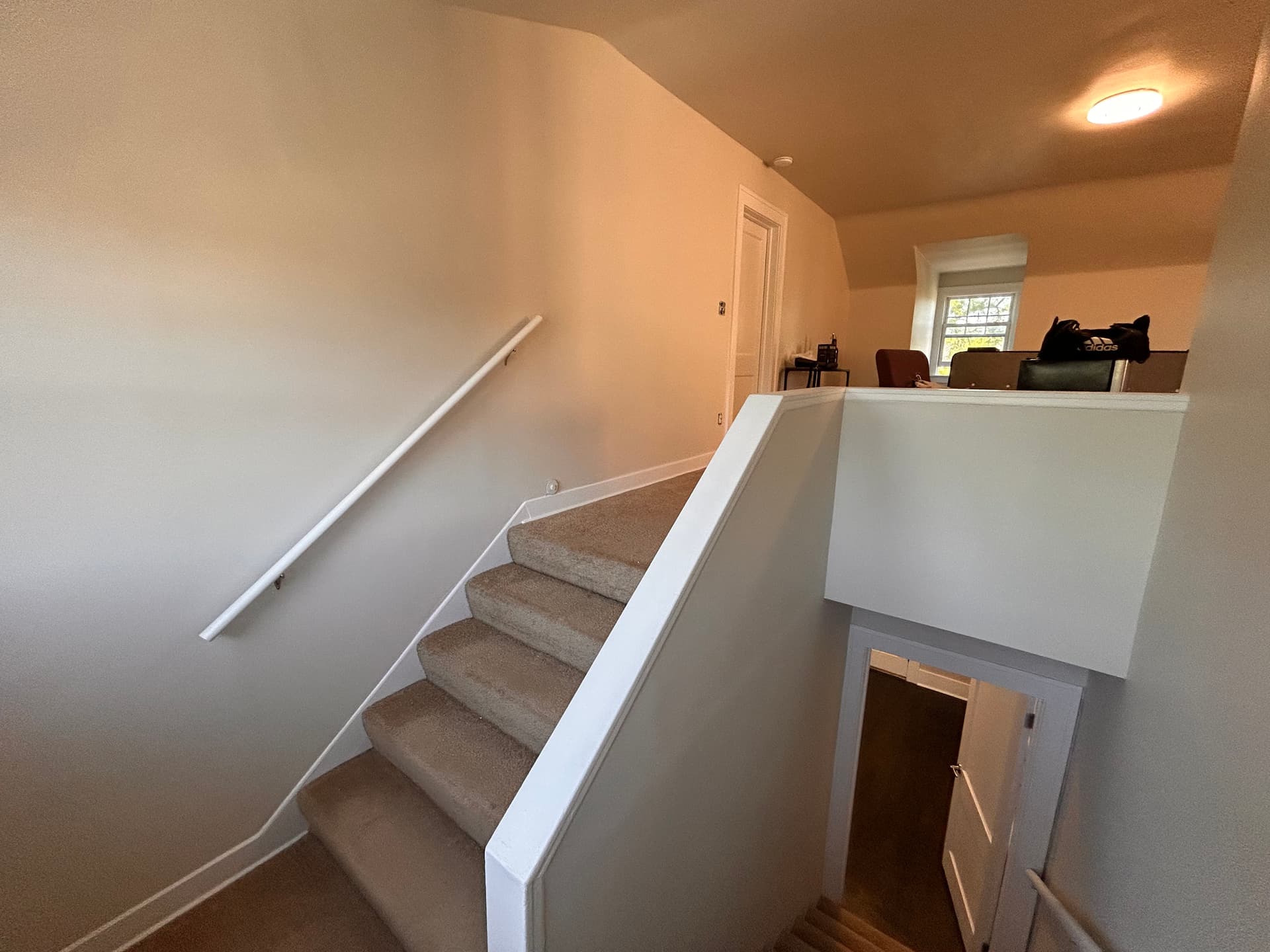 Gallery photos for Full Two-Floor Interior Repaint in Detroit's Boston Edison District: Image #5